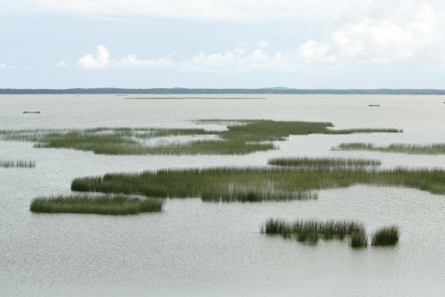 Gardno Lake